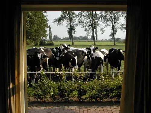 Egeldonk - B&B Zundert