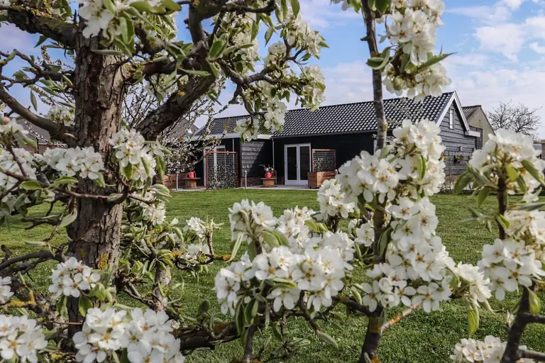 BBBuutegeweun - B&B Sommelsdijk