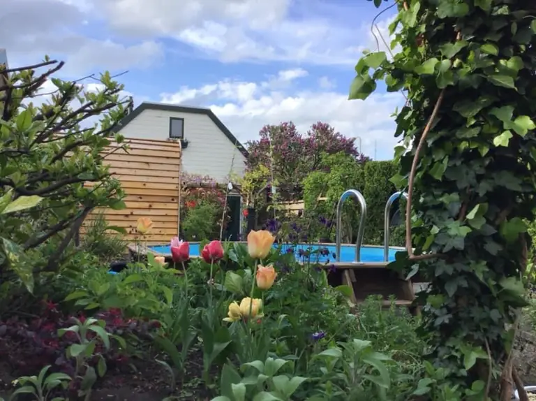 Wellness Centre Homestay Dreamtime - Bed and Breakfast Deventer