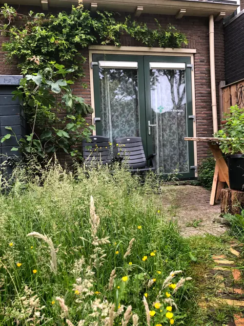 Inn de oude Praktijk - B&B Arkel