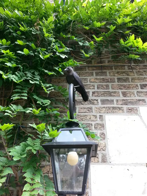 B&B De Kauwberg - Bed and Breakfast Nuth