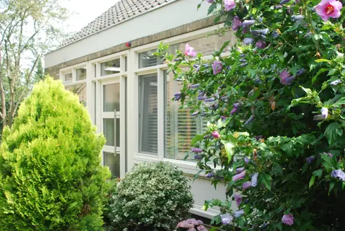 Bij ons B&B - B&B Etten-Leur