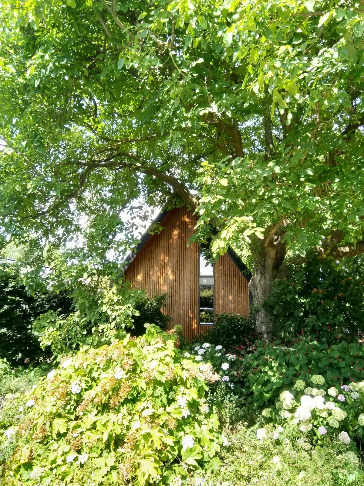 Hof op de Oeverwal - B&B Ravenswaaij