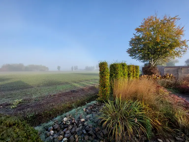 Heg en Steg - Bed and Breakfast Nijkerkerveen