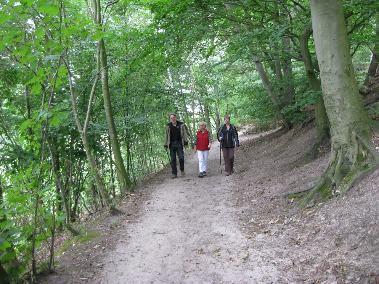 Bed & Breakfast Dassen - B&B Gronsveld