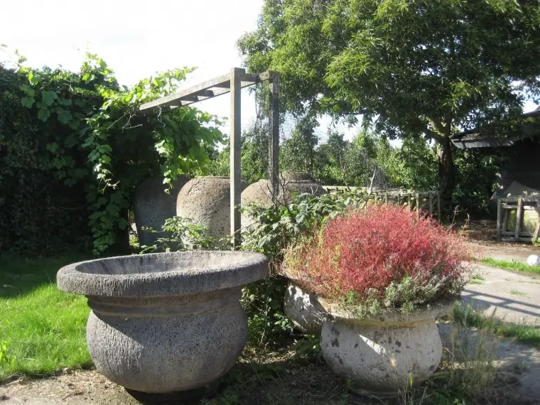 De Wilde Gaard - B&B Cothen