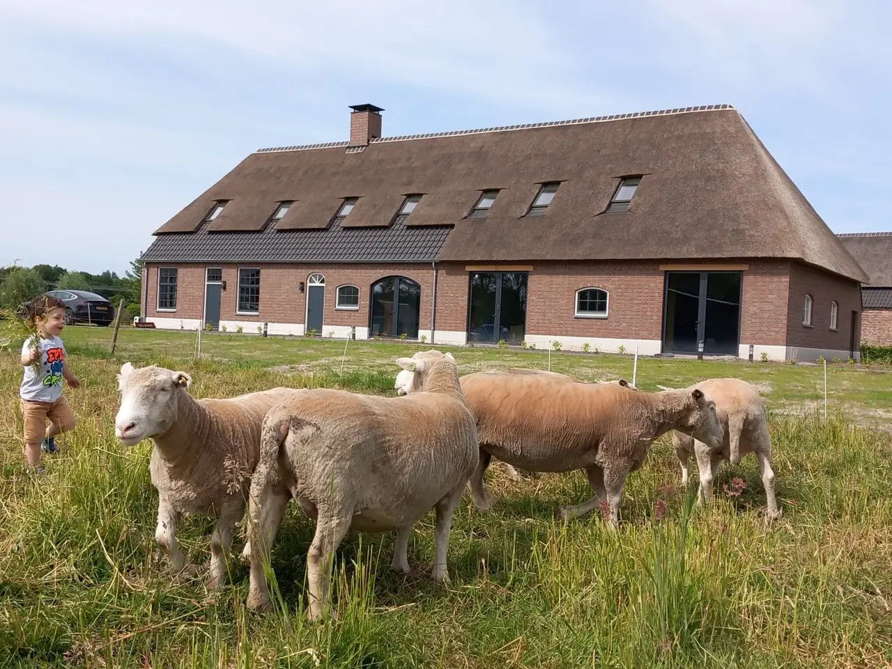 Steegsche Hoeve - B&B Schijndel