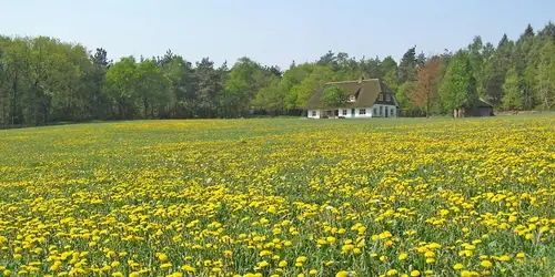 Barg Willem - B&B Lemele