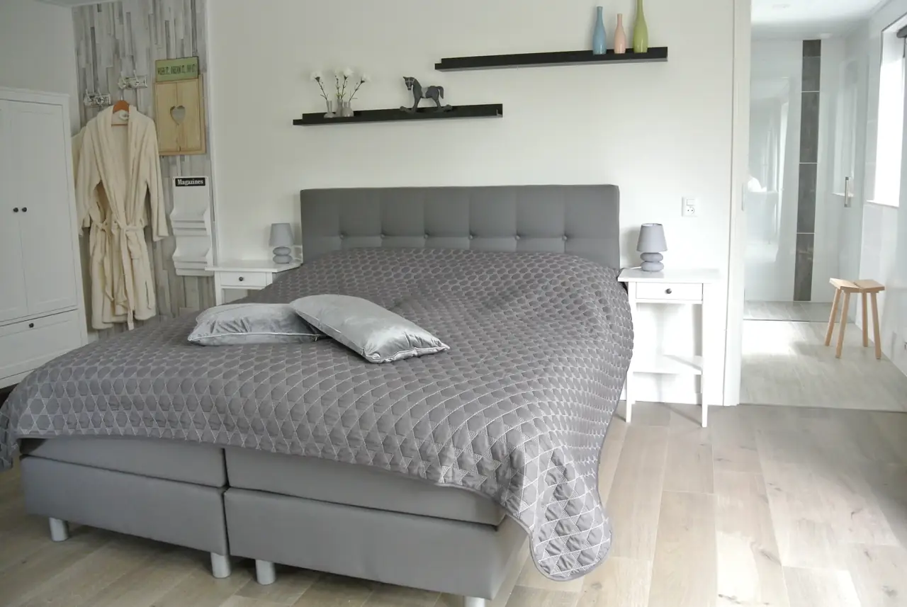 Kamer 1 met wellness