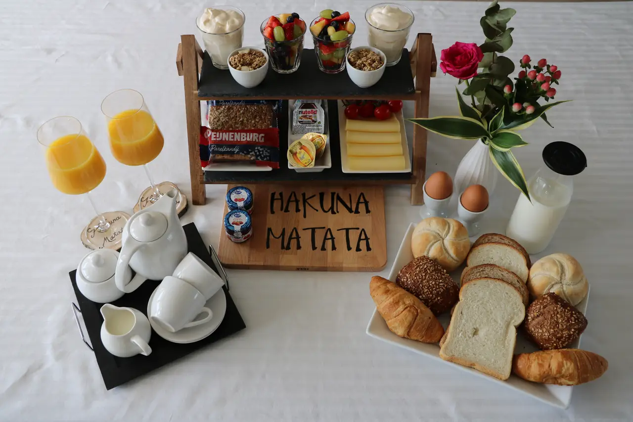 Hakuna Matata - B&B Hank