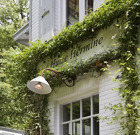 Art B&B Huize Hermine - B&B Joppe