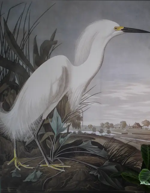 Lapondre en de Witte Reiger - Chambres d’hôtes Warmenhuizen
