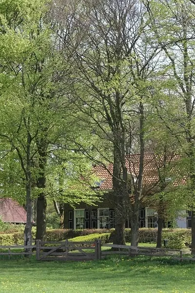 Buitenplaats Natuurlijk Goed - Bed and Breakfast Elburg