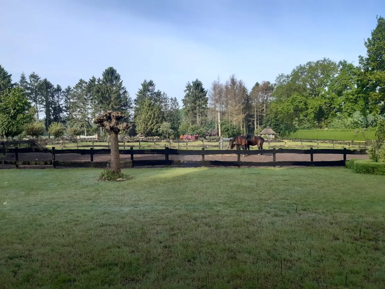 Paraiso - B&B Bergen op Zoom