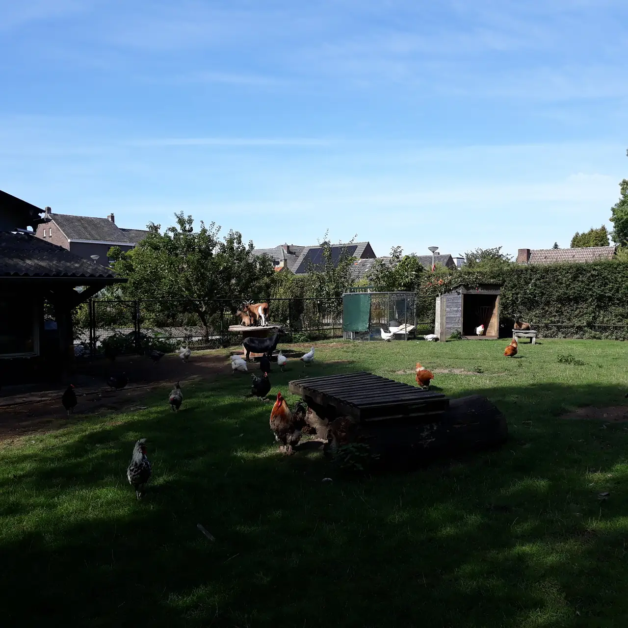 B&B Pura Vida - B&B Swalmen