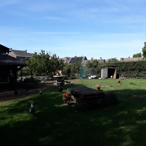 B&B Pura Vida - B&B Swalmen