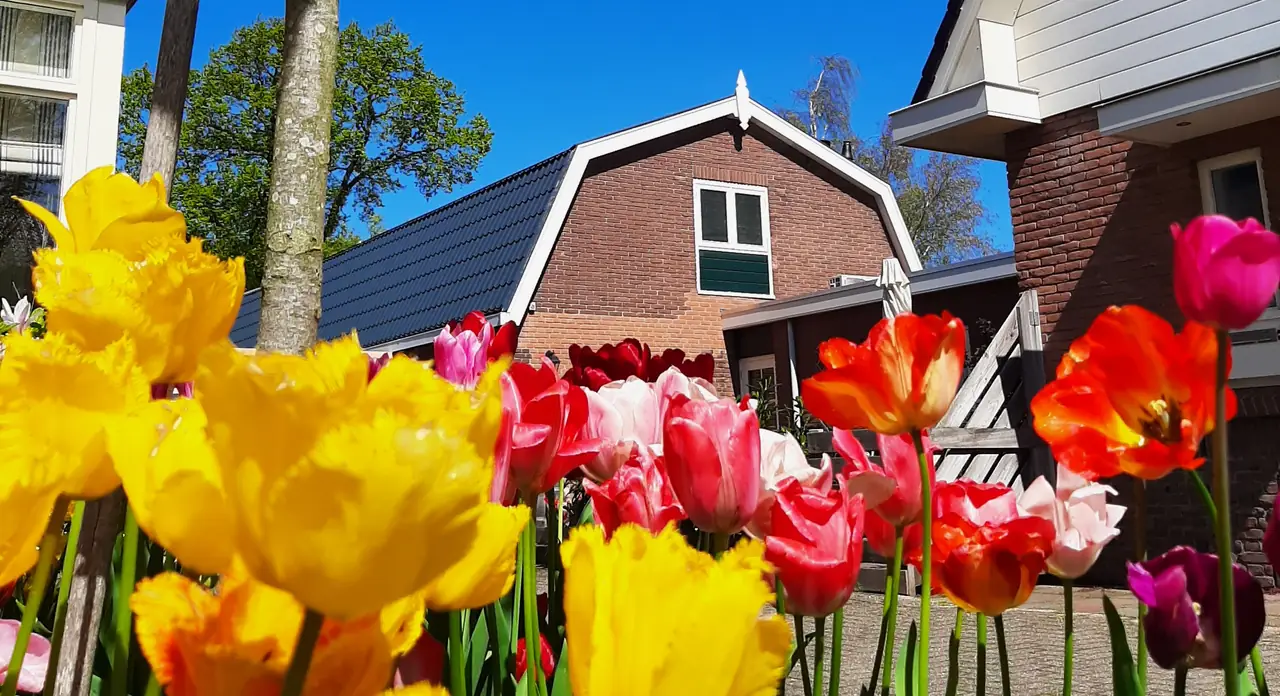 Bed & Breakfast de Hoffstal - B&B Sassenheim