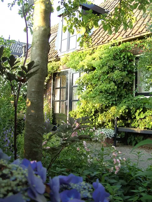 Bed & Breakfast Groenekan - B&B Groenekan