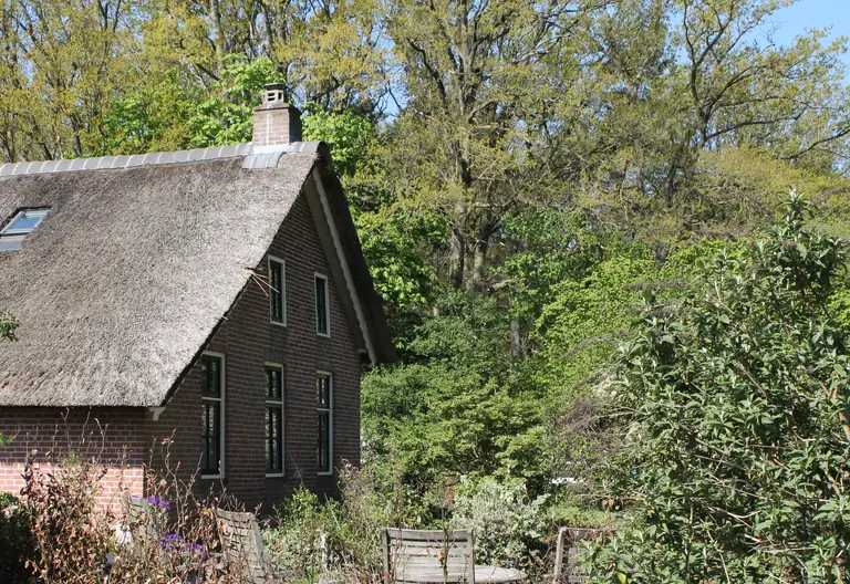 Aan het Staphorsterbos - Bed and Breakfast Staphorst