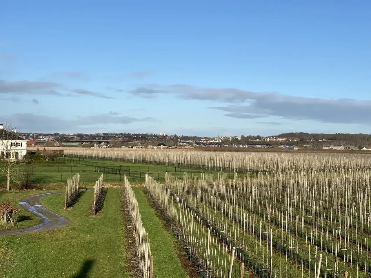 Achter 't Dorp - B&B Kesteren