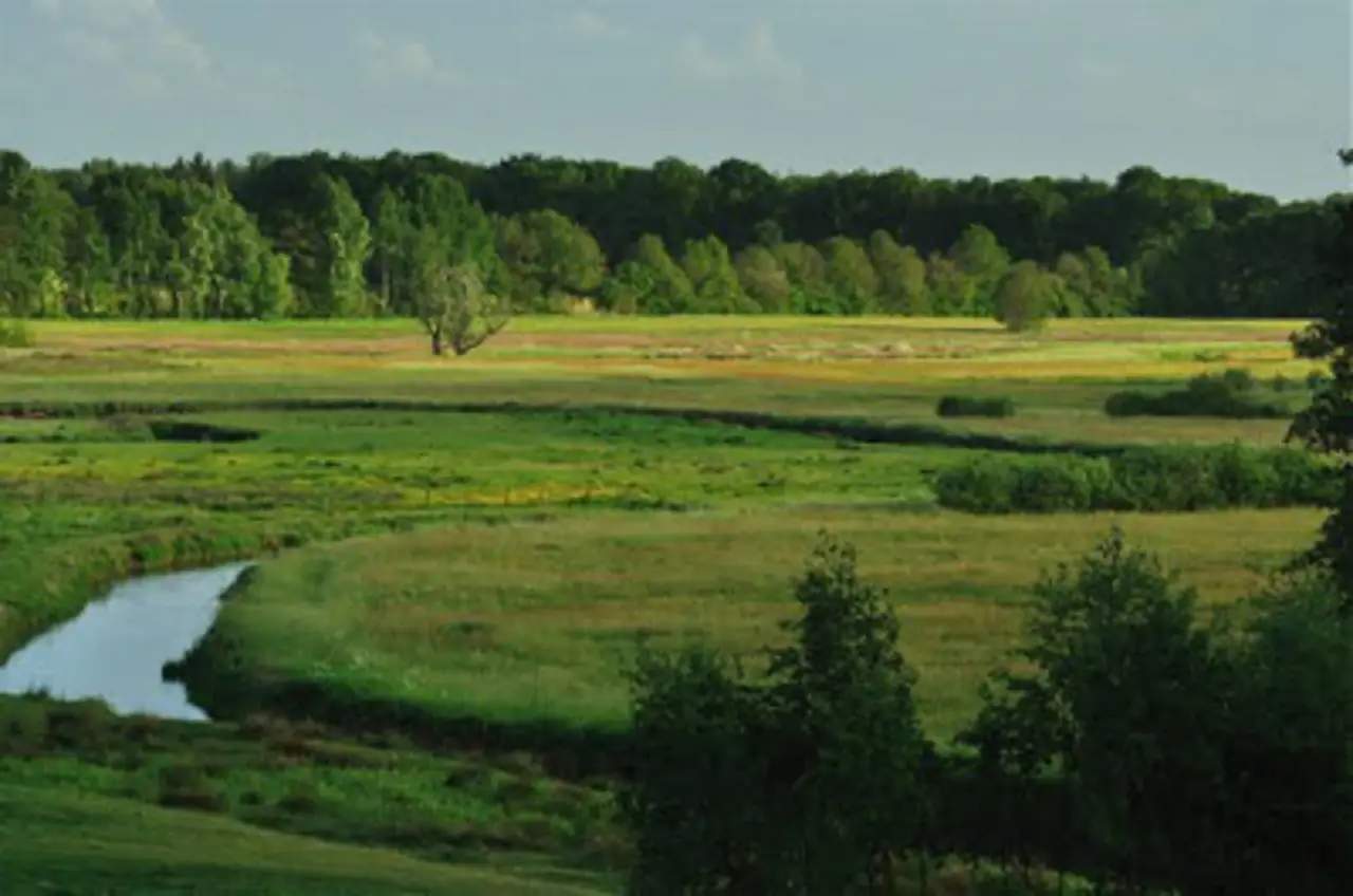 B&B De Borg - B&B Schipborg