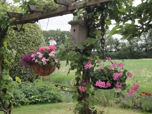 Riethove - B&B Harlingen