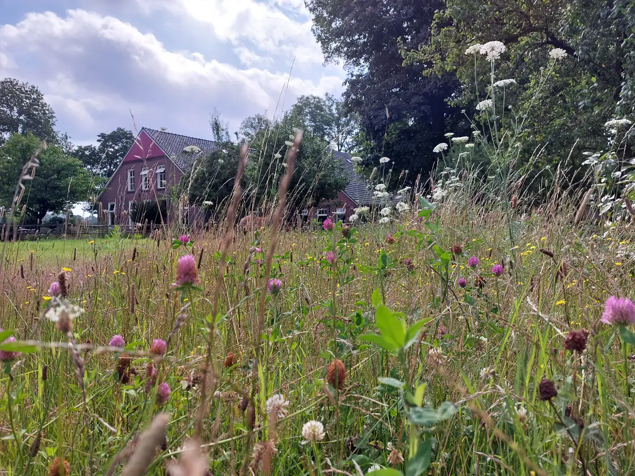 Vakantieboerderij Den Deter - B&B Winterswijk