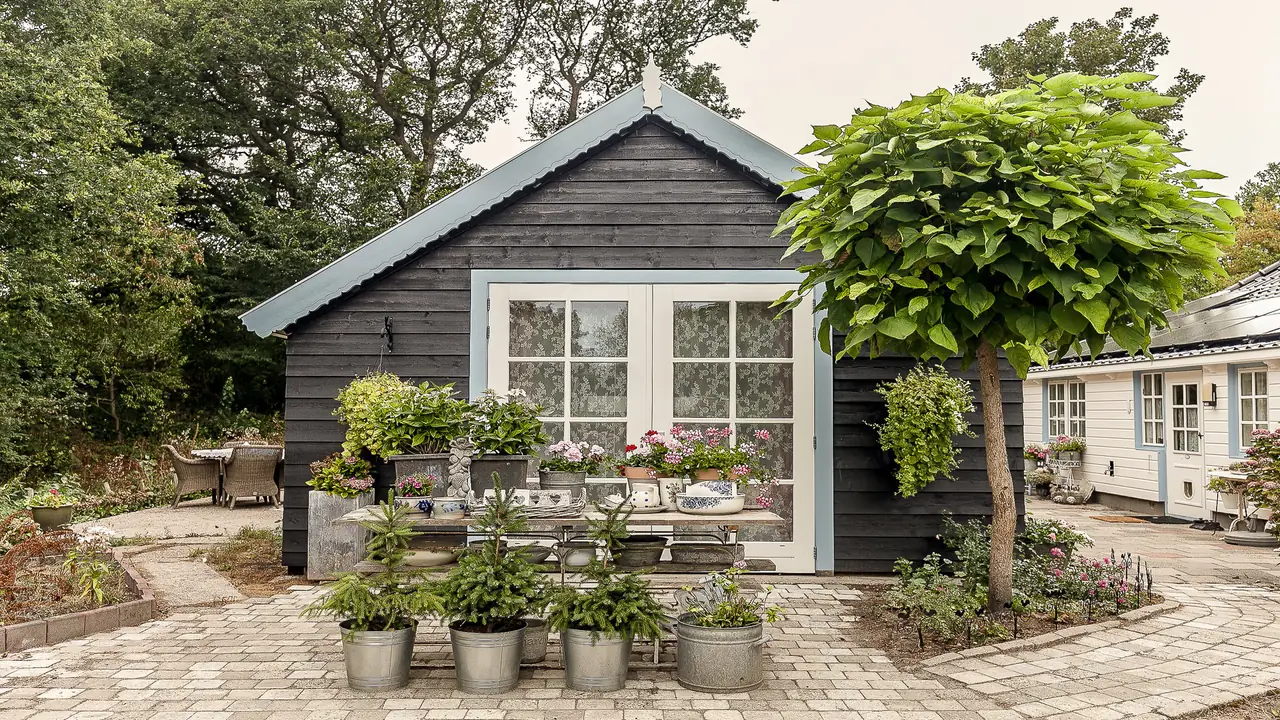 B&B de Appelaar - B&B Rijs